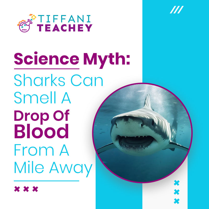Science Myth: Sharks can smell a drop of blood from a mile away