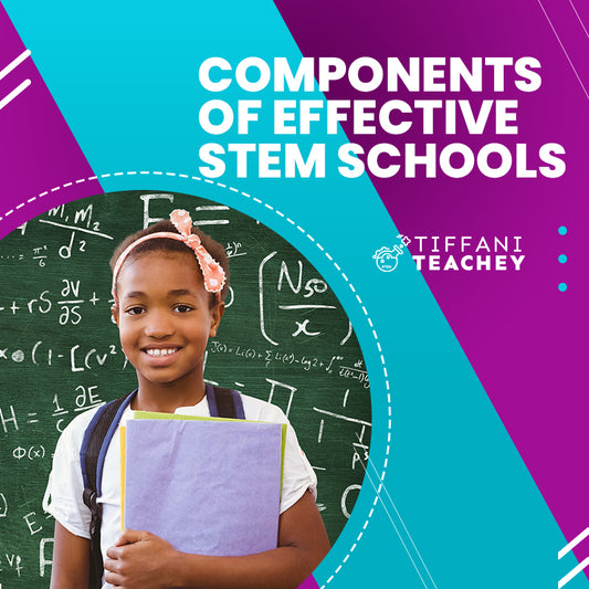 Components of effective STEM schools.