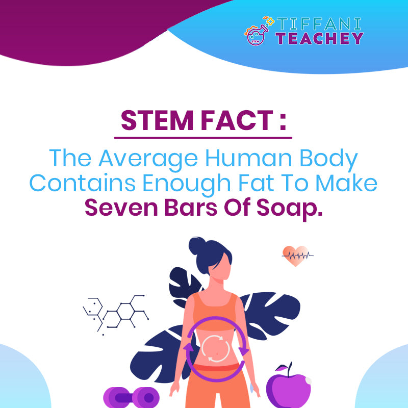 STEM Fact: The average human body contains enough fat to make seven bars of soap.